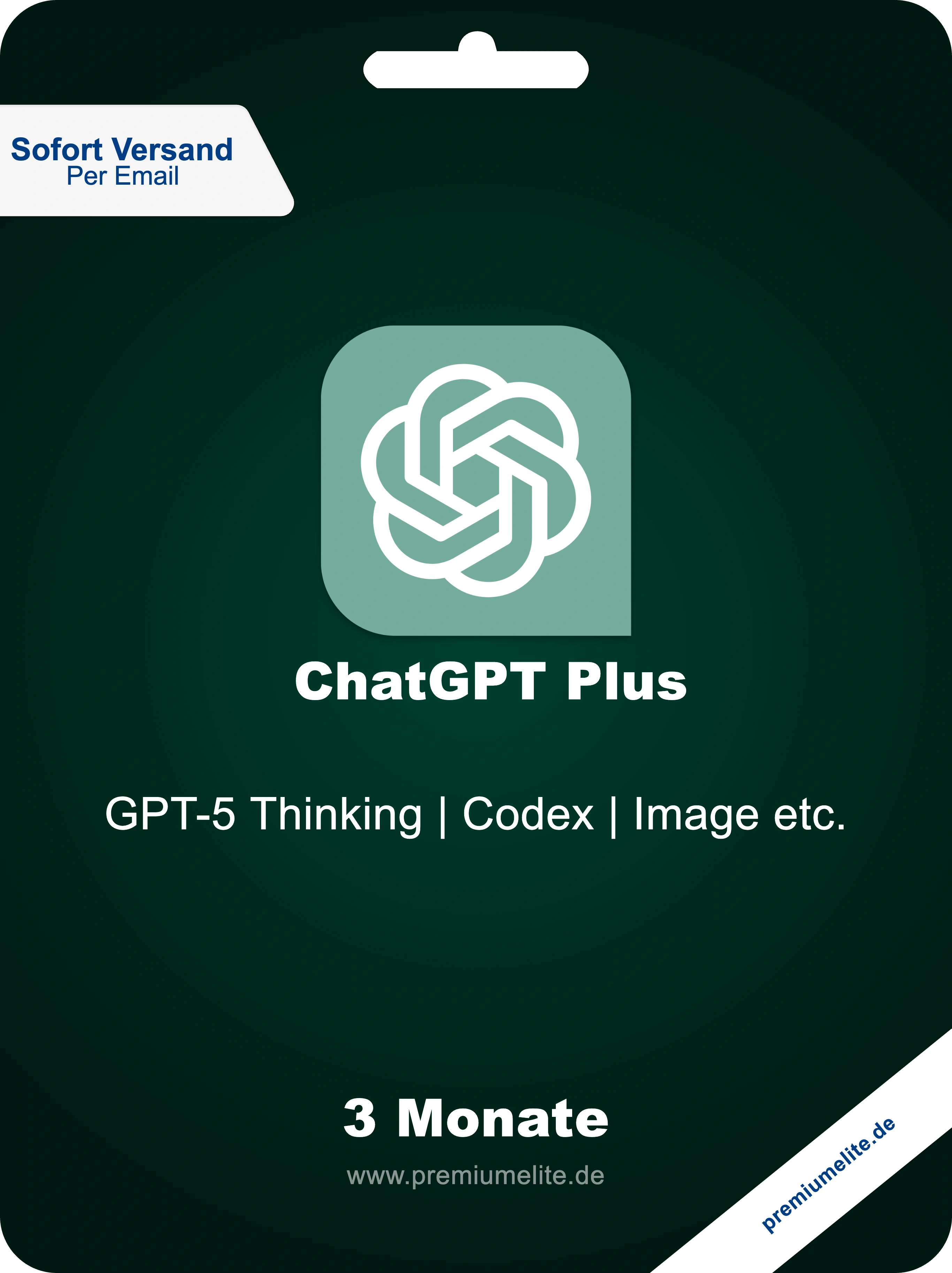 ChatGPT Plus | 3 Monate | Alle Premium KI Modelle | Sofort Versand per Email